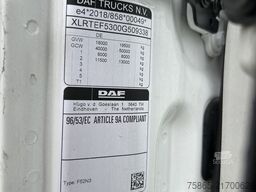 DAF XG 480 FT / 142 dkm / Tacho V2 / Mirror Cams / ...