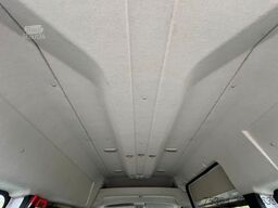 FIAT Ducato 3.0 Natural Power/CNG/Benzin 9 Sitze Pdc