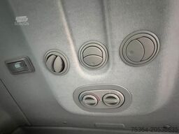 FIAT Ducato 3.0 Natural Power/CNG/Benzin 9 Sitze Pdc