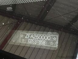 FIAT Ducato 3.0 Natural Power/CNG/Benzin 9 Sitze Pdc