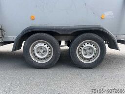 Böckmann Cavallo Junior Pferdeanhänger