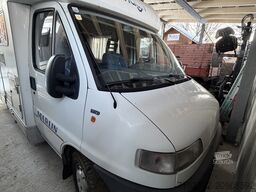 Elnagh Marlin Slim 2