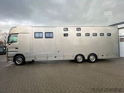 MERCEDES-BENZ Actros 2644 5 Pferde  Pop-Out, Pop-Up