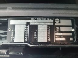 DAF XF 480 / BDF / 6X2 / SSC / I-PARK COOL / O? POD
