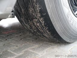 DAF XG+ 480 / KRONE CH?ODNIA / THERMO KING SLXi 300