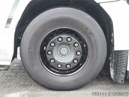 DAF XG+ 480 / KRONE CH?ODNIA / THERMO KING SLXi 300