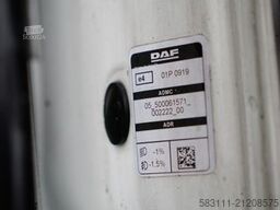 DAF XG+ 480 / KRONE CH?ODNIA / THERMO KING SLXi 300