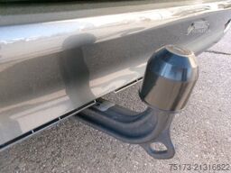 MERCEDES-BENZ Marco Polo 250 d Distronic Navi Markise AHK