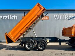 CARNEHL CTK/ST | Trommelbremse*BPW-Achsen*EBS*1.Hand*ABS