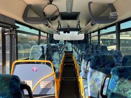 Iveco Recreo