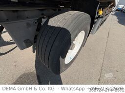 WM MEYER MAKL 18*Carrier*LBW*Alufelgen*Scheibenbremsen*