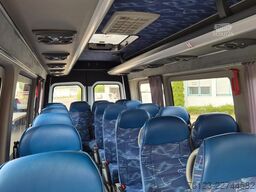 MERCEDES-BENZ Sprinter 516, Daily, Crafter