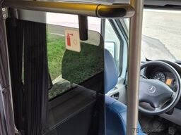 MERCEDES-BENZ Sprinter 516, Daily, Crafter