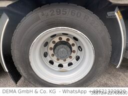 DAF XF480*Mit Anhänger*Jumbo*Standklima*Edscha*Lift*