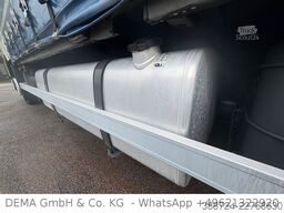 DAF XF480*Mit Anhänger*Jumbo*Standklima*Edscha*Lift*