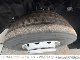 DAF XF480*Mit Anhänger*Jumbo*Standklima*Edscha*Lift*