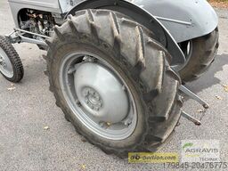 Massey Ferguson MF TE 20