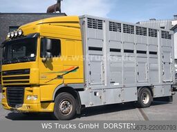 DAF XF 410 SC Menke Doppelstock