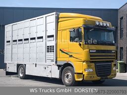 DAF XF 410 SC Menke Doppelstock