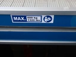 MERCEDES-BENZ Sprinter III Kasten 317CDI RAMPE MAXI XXL NR.285