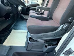 Renault Master 1-2 Pferde