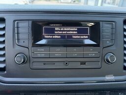 VOLKSWAGEN Crafter Dreiseitenkipper 4x4 4Motion Laubgitter