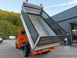 VOLKSWAGEN Crafter Dreiseitenkipper 4x4 4Motion Laubgitter