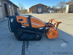 Bergmann Mähraupe M 201 mit Zubehör