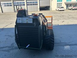 Bergmann Mähraupe M 201 mit Zubehör