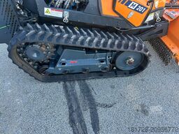 Bergmann Mähraupe M 201 mit Zubehör