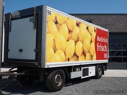 Rimorchio refrigerato  Wuellhorst TFA 18-6,8 Kühlkoffer Carrier