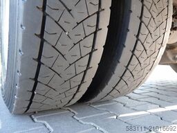 RENAULT D 250 / CH?ODNIA - 6,7 m / THERMO KING T 600R /