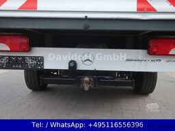 MERCEDES-BENZ Nr.B46 Sprinter Pritsche DoKa 314CDI / SHZ