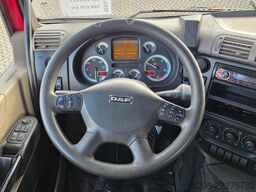 DAF CF 85.460 / Palfinger PAK 18 H / Lift-Lenkachse