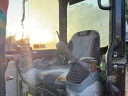 CATERPILLAR 303C Mini excavator Hammerline Swanneck