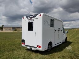 Renault Master Pferdetransporter Nur 35.300KM 170 PS