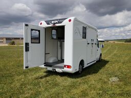 Renault Master Pferdetransporter Nur 35.300KM 170 PS