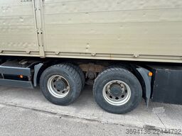 MAN TGS 26.480 BB 6x4 PK 25001 EL am Heck
