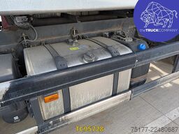 Scania P 450
