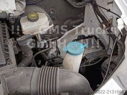 MERCEDES-BENZ Sprinter 516 / Frigo Cool / load 3,2ton