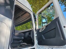 FORD F-Max 500