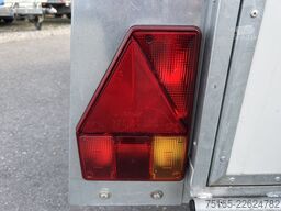 andere TF5 Pico Pferdeanhänger