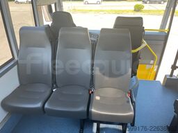 Daf Calliope