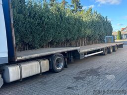 KOTSCHENREUTHER 5 x STL 324-Bereifung 215/75R17,5-Lenkachse