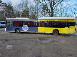MERCEDES-BENZ Citaro O530 LE, Gurten, Armlehnen, Gardinen