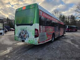 MERCEDES-BENZ Citaro O530 LE, Gurten, Armlehnen, Gardinen