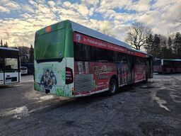 MERCEDES-BENZ Citaro O530 LE, Gurten,  Armlehnen, Gardinen