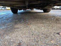 MERCEDES-BENZ Citaro O530 LE, Gurten,  Armlehnen, Gardinen