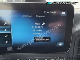 Mercedes-Benz Actros 1853 LS Gigaspace, ADR,