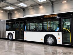 MAN MAN Lion?s City G A 23 G , Citaro 530 G